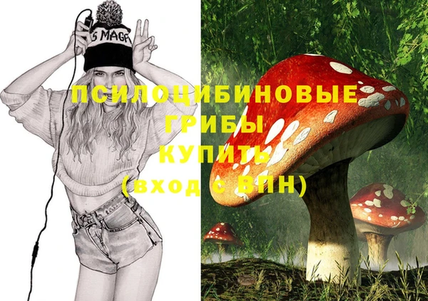 спиды Приозерск